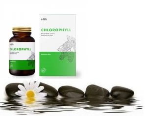 Chlorophyll